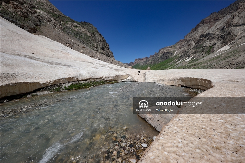 Mount Cilo in Turkey's Hakkari becomes new route for nature and photography lovers