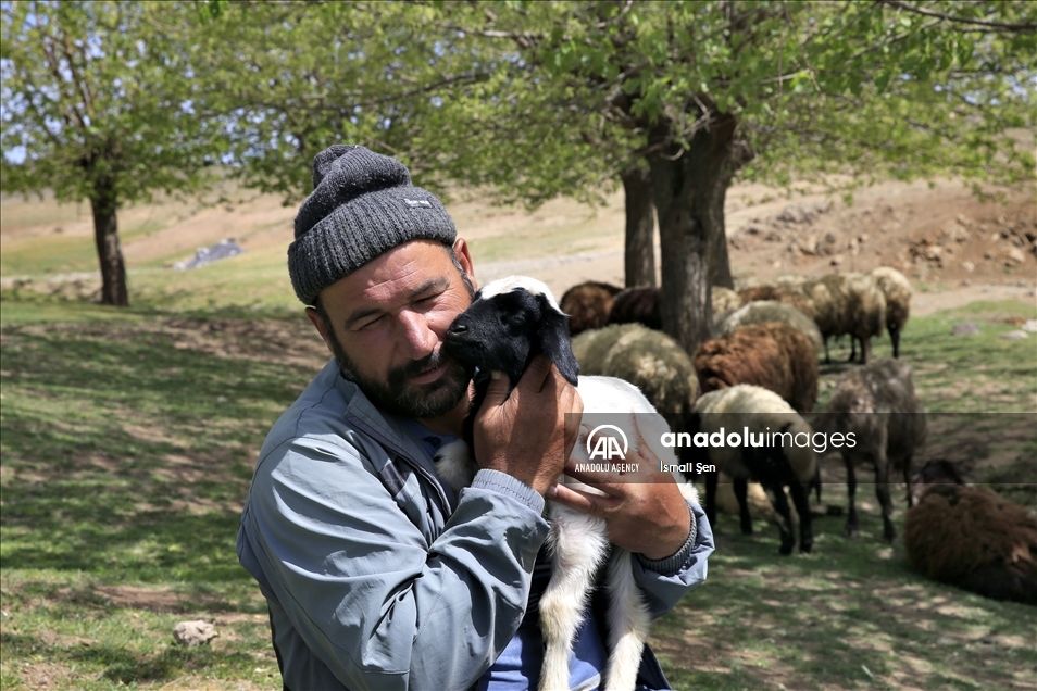 Mehkûmê berê bi piştgiriya dewletê rêncberiyê dike