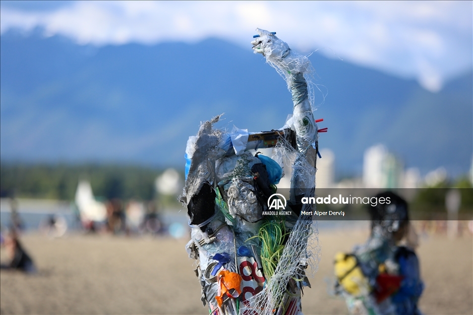 Plastics removed from Canadian shorelines