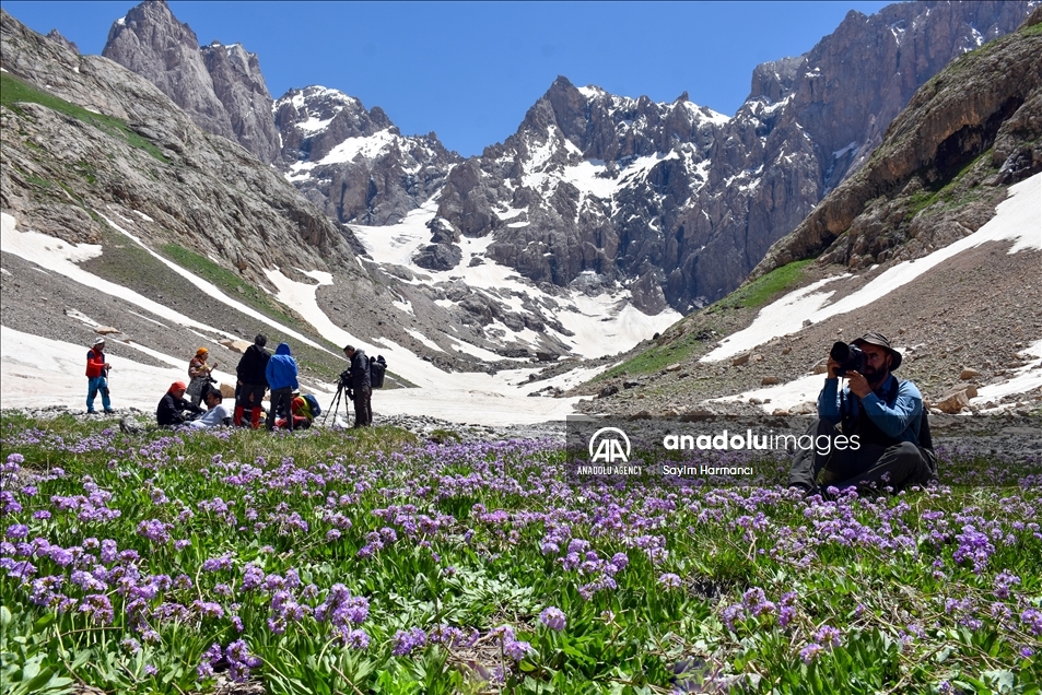 Mount Cilo in Turkey's Hakkari becomes new route for nature and photography lovers