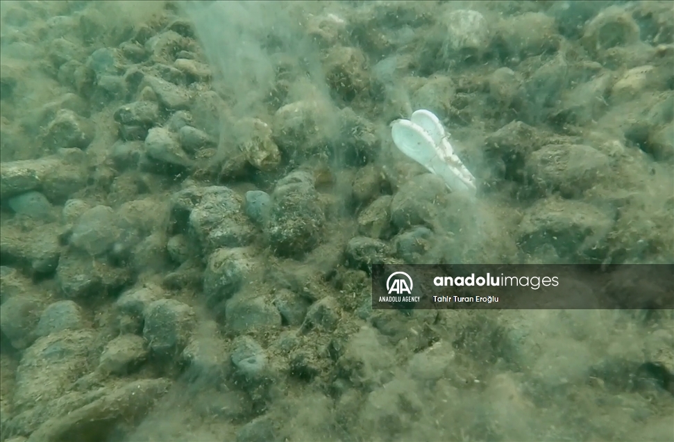 Процесс зачистки вод и дна Мраморного моря от мусора и слизи в объективе «Анадолу