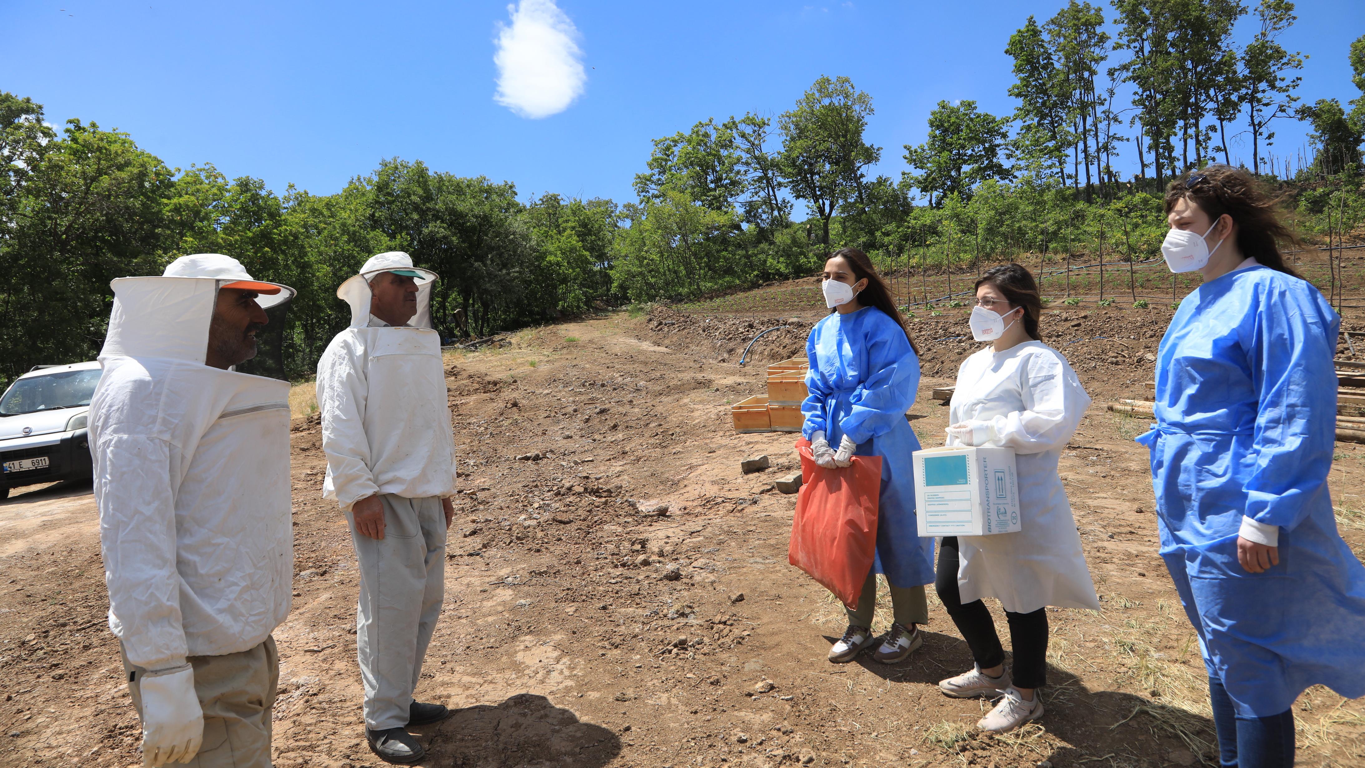 Bup Dağı'nı aşan sağlık ekipleri 1700 rakımdaki Kartal Yaylası'nda arıcıları aşıladı