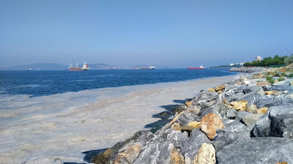 Marmara'dan iki günde 392 metreküp müsilaj toplandı