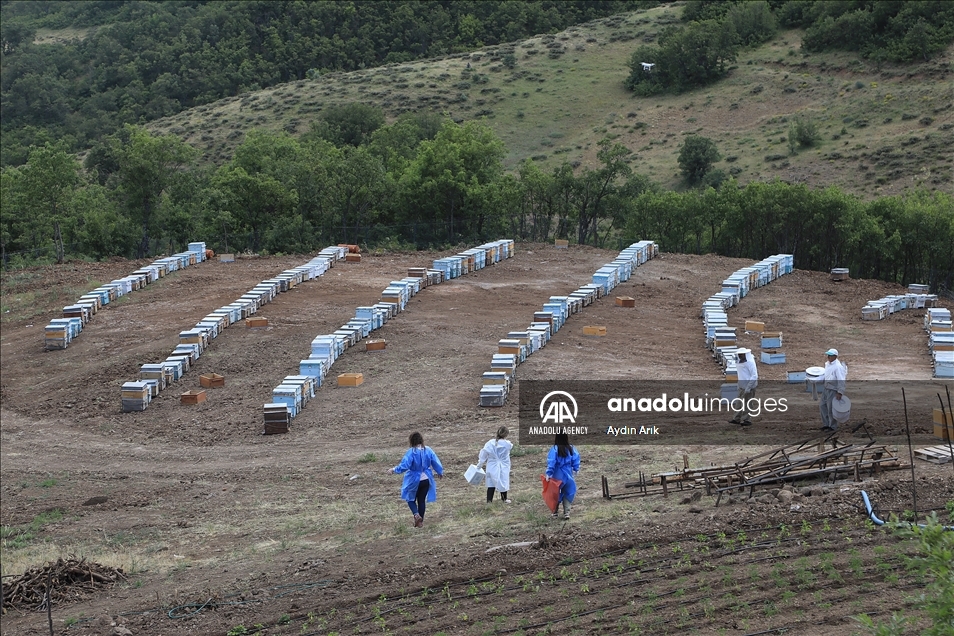 Ekîbên tenduristiyê ji ser Çiyayê Bupê derbas bûn û li Zozanê Qertelê mozvan aşî kirin