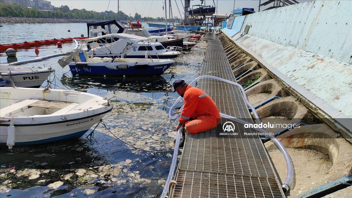 İstanbul'da müsilaj temizleme çalışmaları devam ediyor