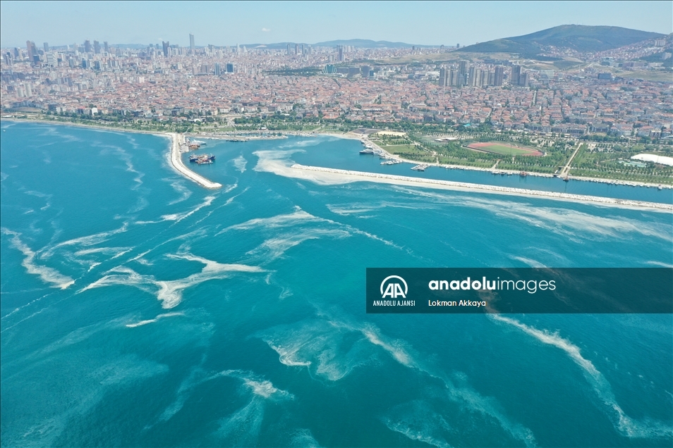 Marmara Denizi’ndeki müsilaj havadan görüntülendi
