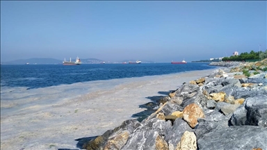 Marmara'dan iki günde 392 metreküp müsilaj toplandı