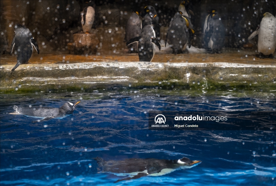 Ocean Park in Hong Kong