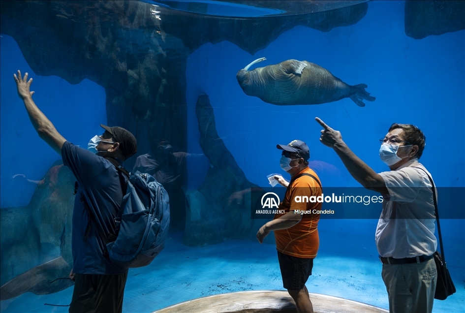 Ocean Park in Hong Kong