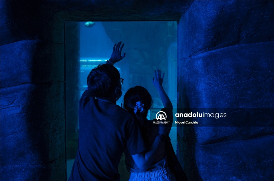 Ocean Park in Hong Kong