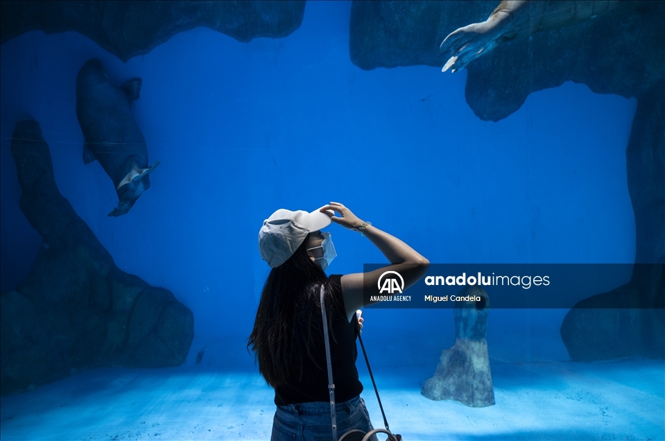 Ocean Park in Hong Kong