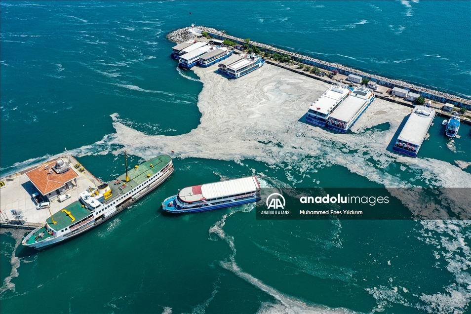 Deniz salyası Anadolu Yakası'nda görülmeye devam ediyor
