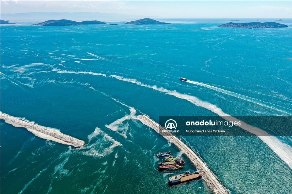 Deniz salyası Anadolu Yakası'nda görülmeye devam ediyor