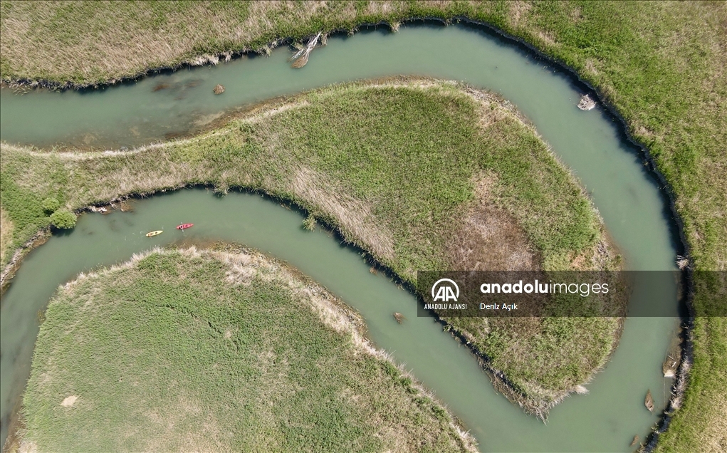 İç Anadolu'nun batısında gizli kalmış bir kuş cenneti: Balıkdamı