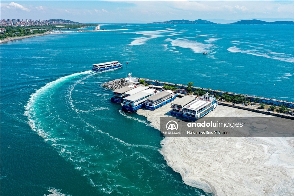 Deniz salyası Anadolu Yakası'nda görülmeye devam ediyor