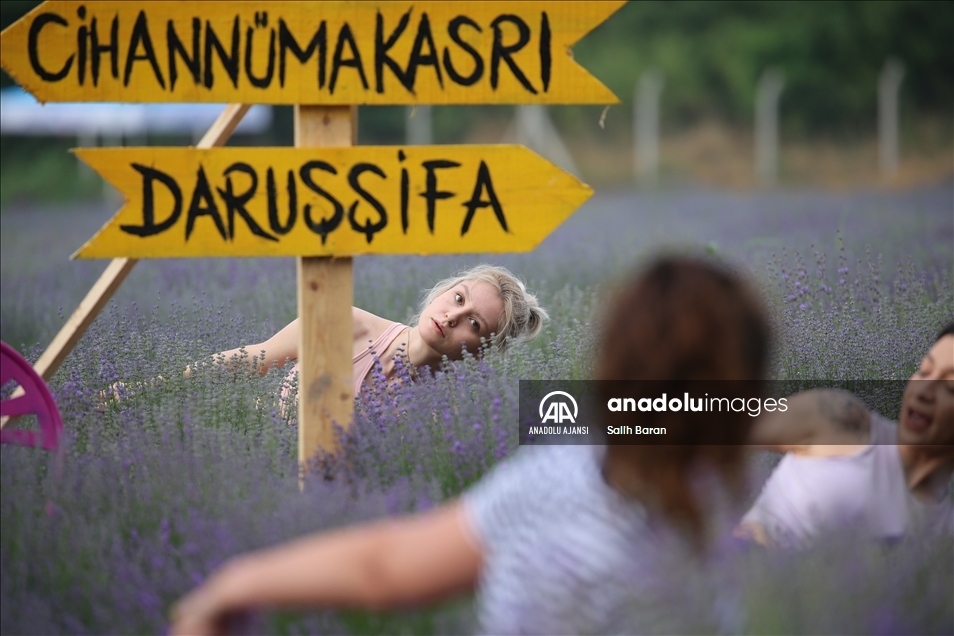 Lavantalar arasında yoga yaparak güne başladılar