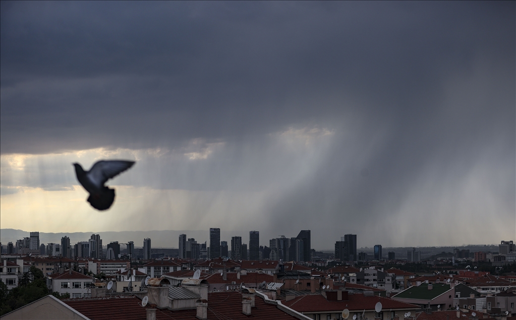Ankara'da sis ve yağışlı hava