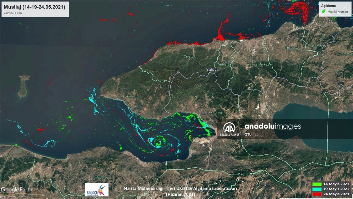 Marmara Denizi'ndeki müsilajın yoğunluk haritası çıkarıldı
