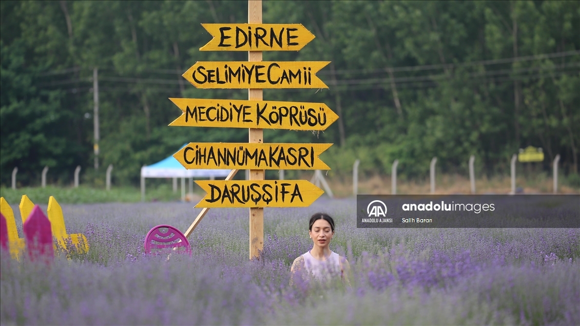 Lavantalar arasında yoga yaparak güne başladılar