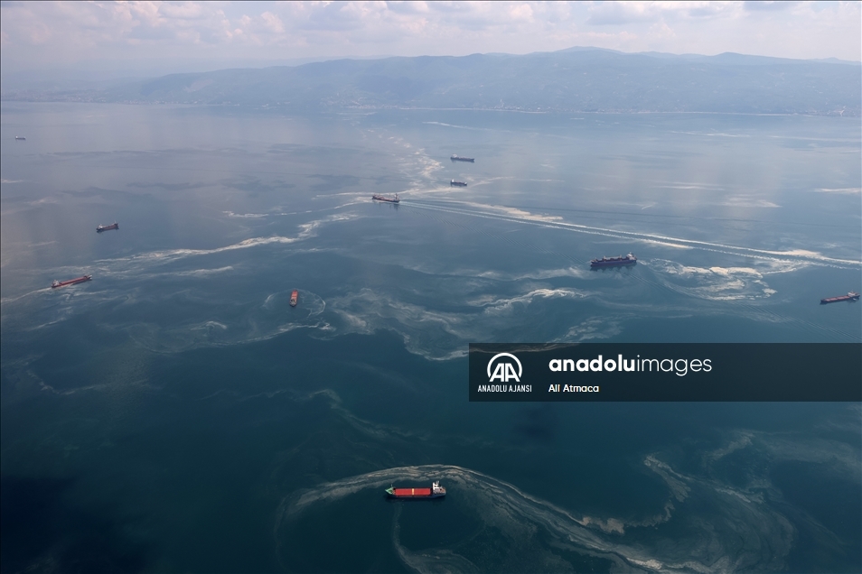 Marmara Denizi'ndeki müsilaj uçakla havadan görüntülendi