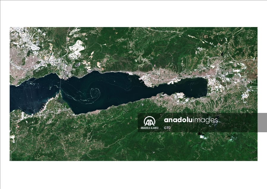 Marmara Denizi'ndeki müsilajın yoğunluk haritası çıkarıldı