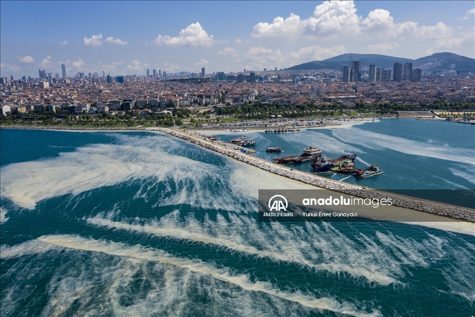 Deniz salyası Anadolu Yakası'nda görülmeye devam ediyor