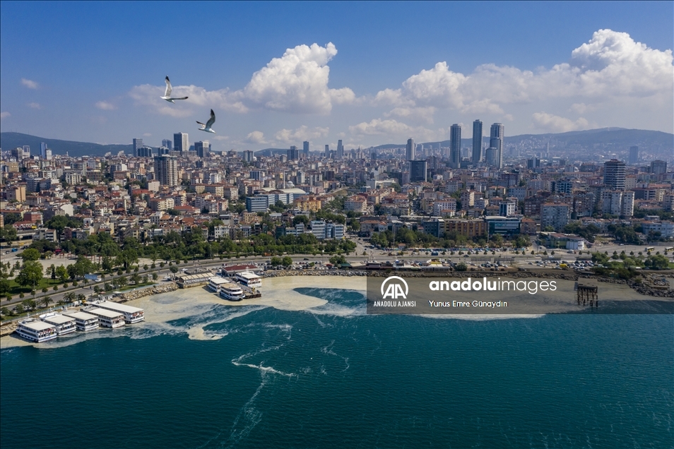 Deniz salyası Anadolu Yakası'nda görülmeye devam ediyor
