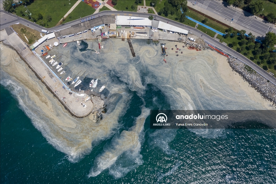 Deniz salyası Anadolu Yakası'nda görülmeye devam ediyor