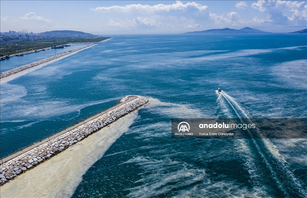 Deniz salyası Anadolu Yakası'nda görülmeye devam ediyor