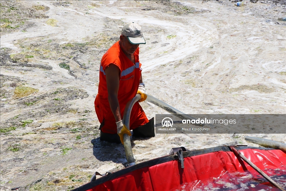 Continúan las labores de limpieza del 'moco marino' a lo largo de las costas del mar de Mármara, Turquía