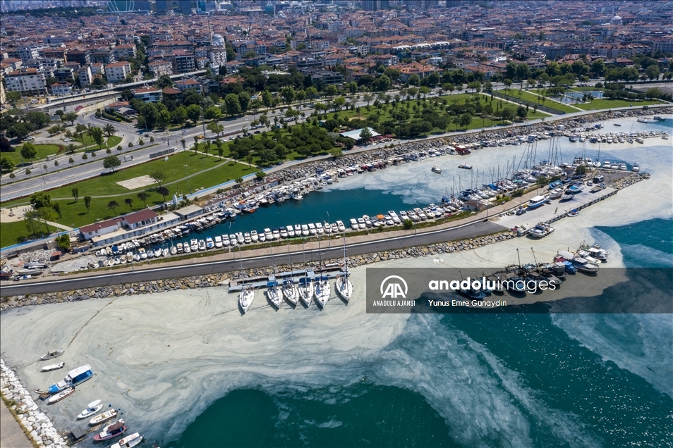 Deniz salyası Anadolu Yakası'nda görülmeye devam ediyor