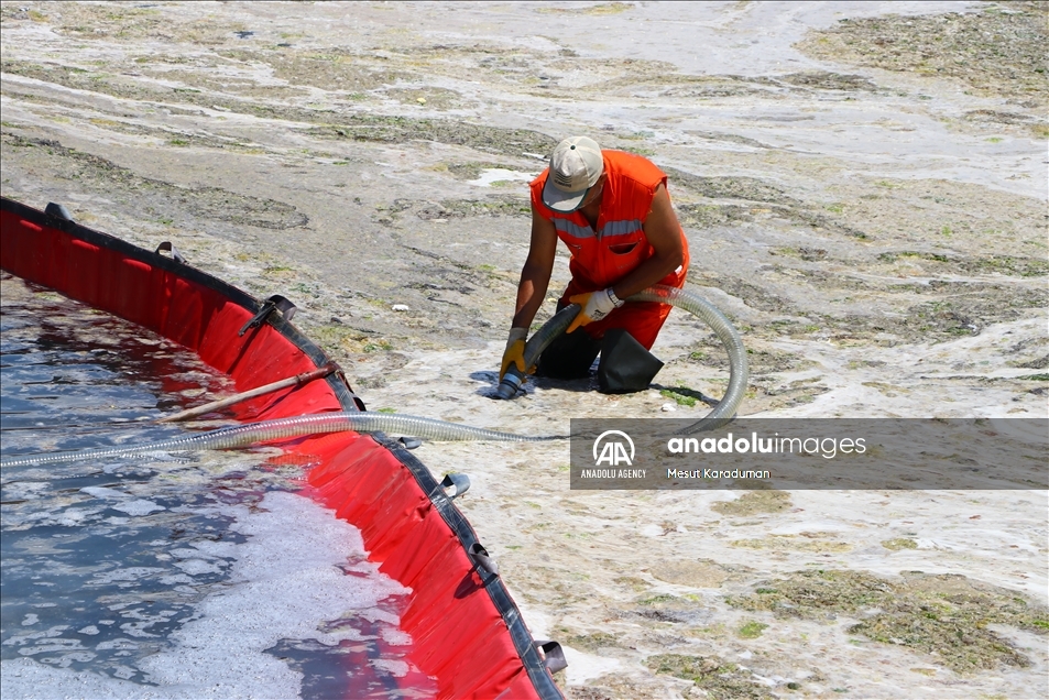 Continúan las labores de limpieza del 'moco marino' a lo largo de las costas del mar de Mármara, Turquía