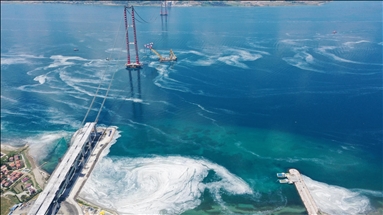 Çanakkale merkezinde kıyılarda müsilaj yoğunluğu oluştu