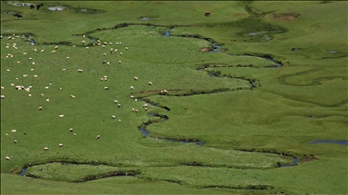 Karadeniz'in menderesleriyle ünlü Perşembe Yaylası doğaseverleri ağırlıyor