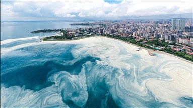 Mucilage level increases in Marmara Sea