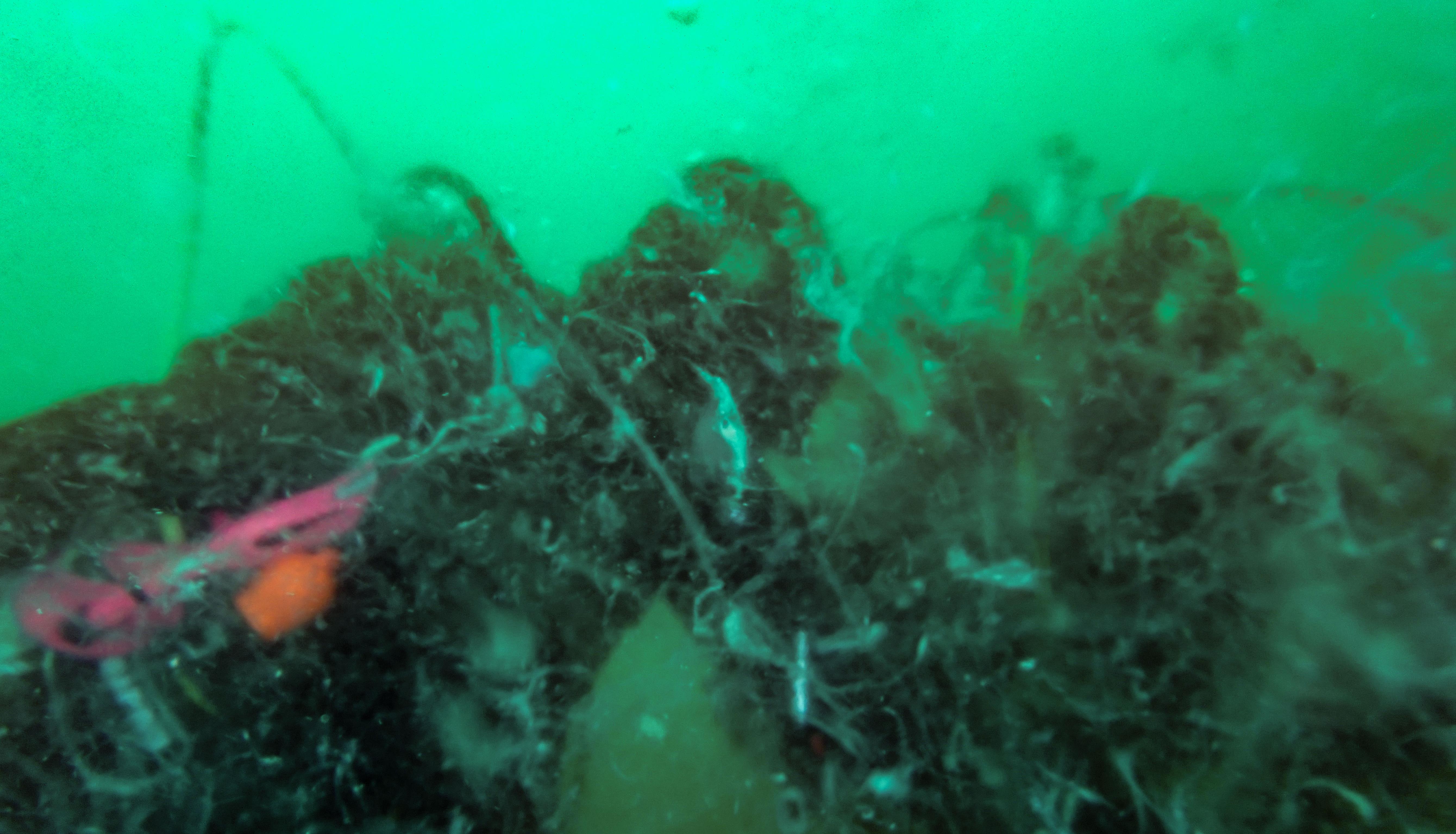 Anadolu Agency monitors mucilage formation at bottom of Sea of Marmara