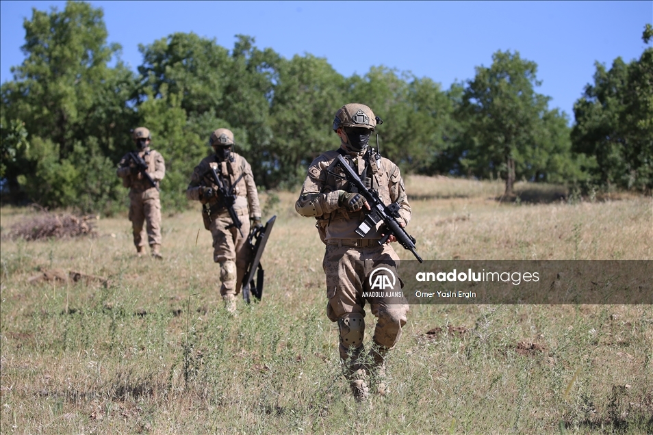 Diyarbakır'da narkoterör operasyonlarıyla PKK'nın finans kaynağı kurutuluyor
