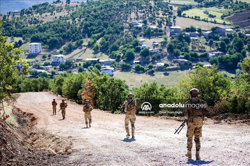 Diyarbakır'da narkoterör operasyonlarıyla PKK'nın finans kaynağı kurutuluyor