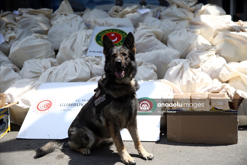 Mersin Limanı'ndaki operasyonda 150 kilo daha kokain ele geçirildi, uyuşturucu miktarı 1 ton 300 kilograma çıktı