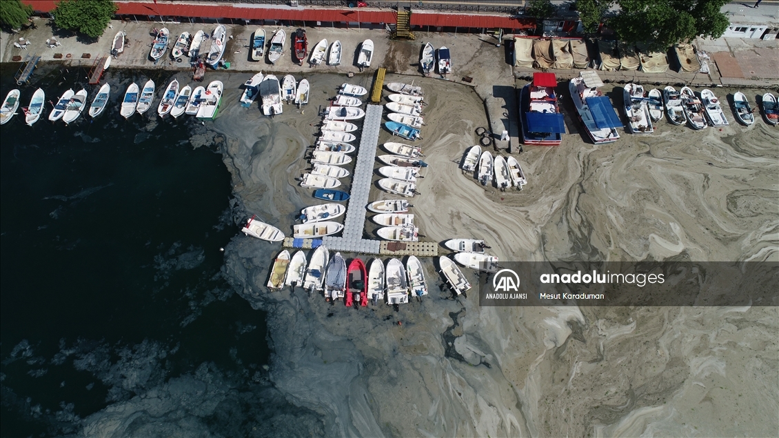 Tekirdağ'da lodos nedeniyle kıyılara müsilaj geri geldi