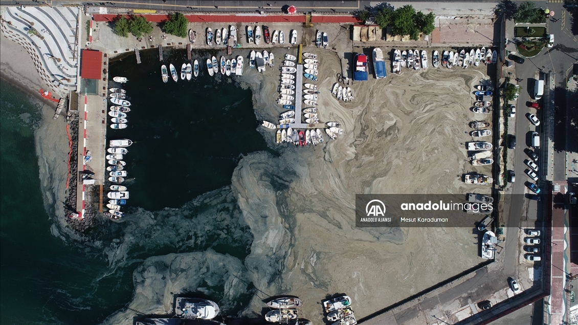 Tekirdağ'da lodos nedeniyle kıyılara müsilaj geri geldi