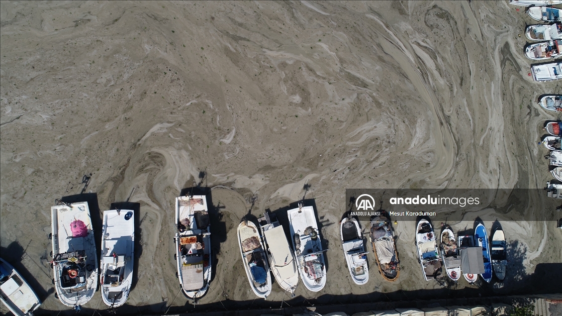 Tekirdağ'da lodos nedeniyle kıyılara müsilaj geri geldi