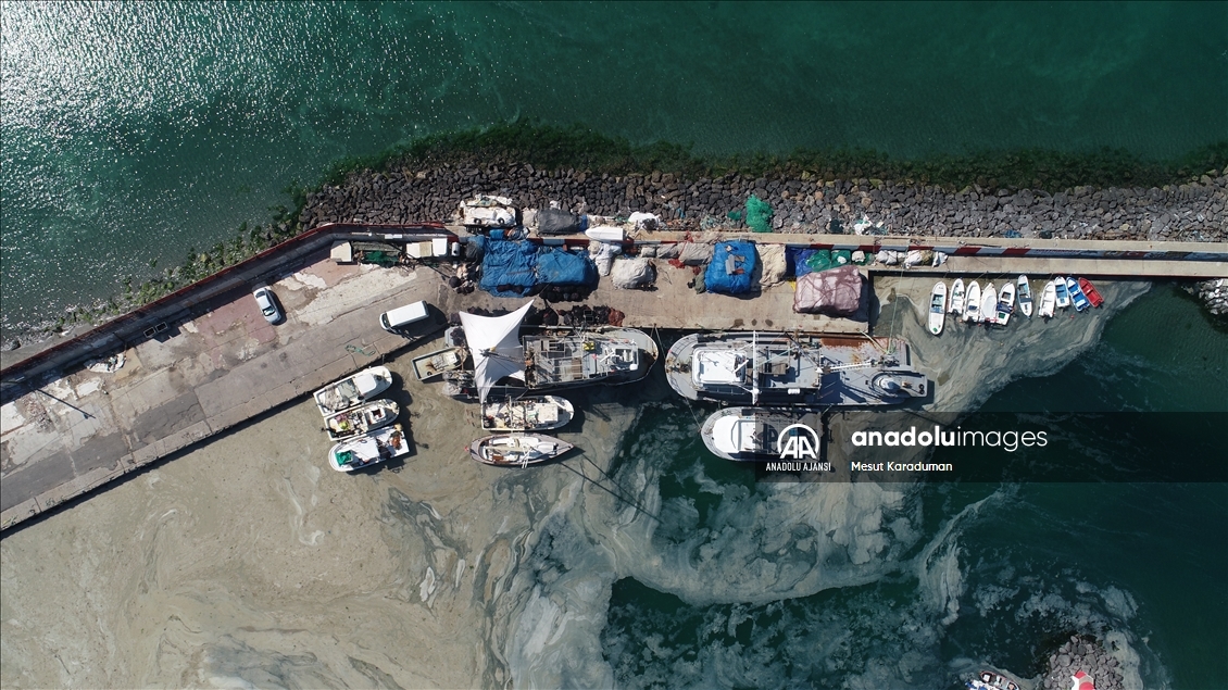Tekirdağ'da lodos nedeniyle kıyılara müsilaj geri geldi