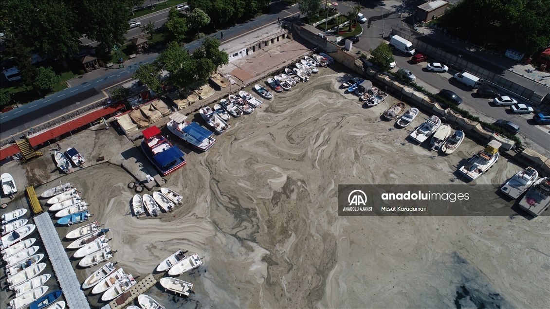 Tekirdağ'da lodos nedeniyle kıyılara müsilaj geri geldi