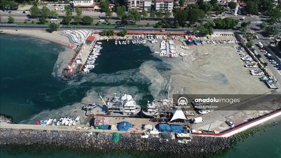 Tekirdağ'da lodos nedeniyle kıyılara müsilaj geri geldi
