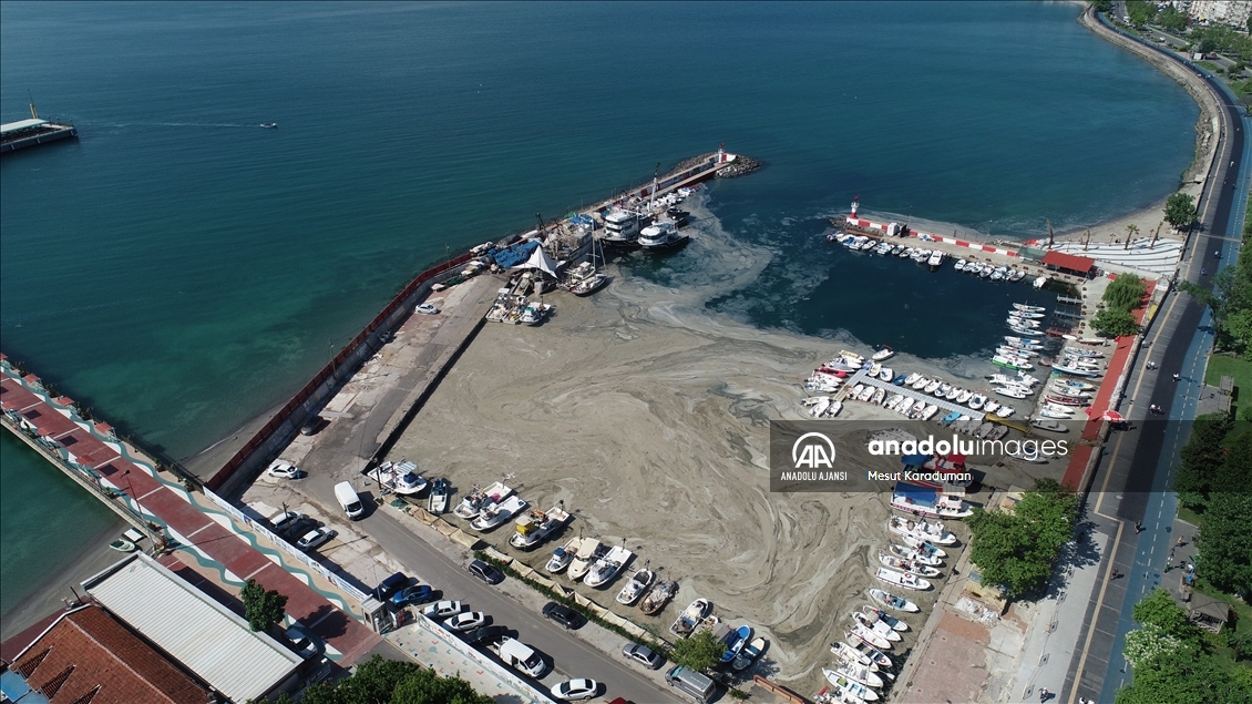 Tekirdağ'da lodos nedeniyle kıyılara müsilaj geri geldi