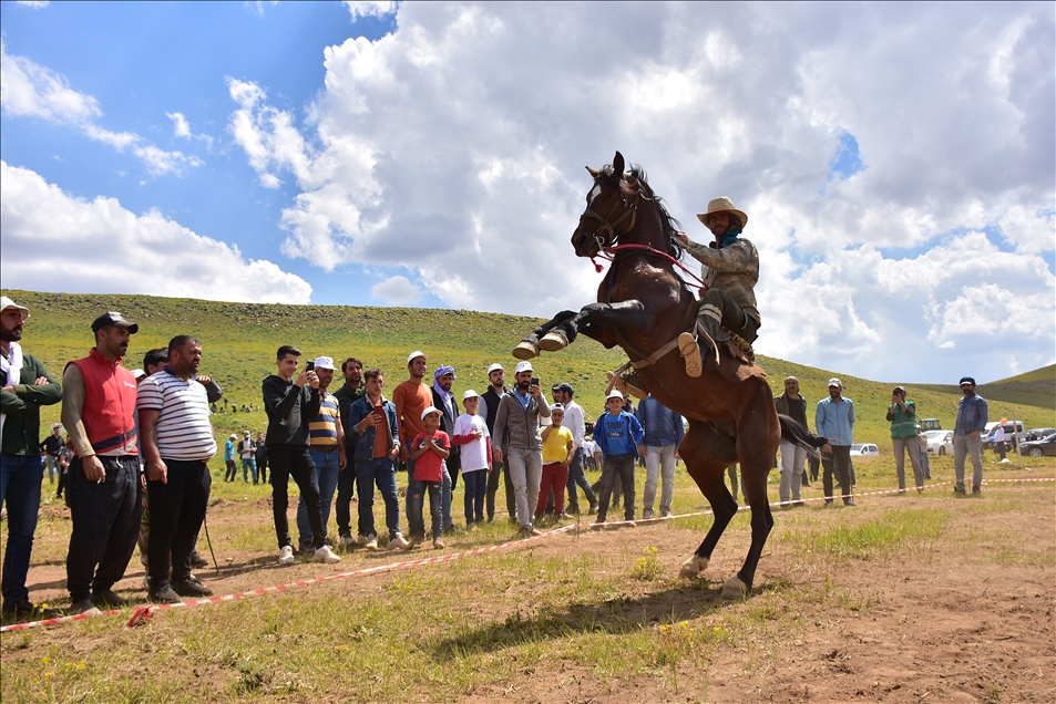 Bingöl'de terörden temizlenen Şerafettin Yaylası'nda at yarışları yapıldı