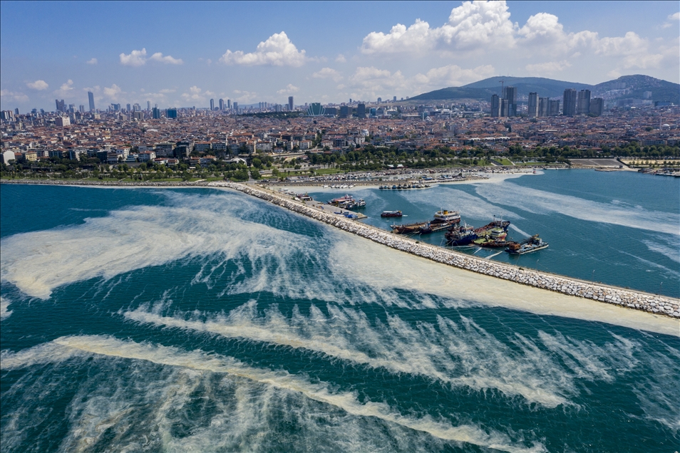 Deniz salyası Anadolu Yakası'nda görülmeye devam ediyor