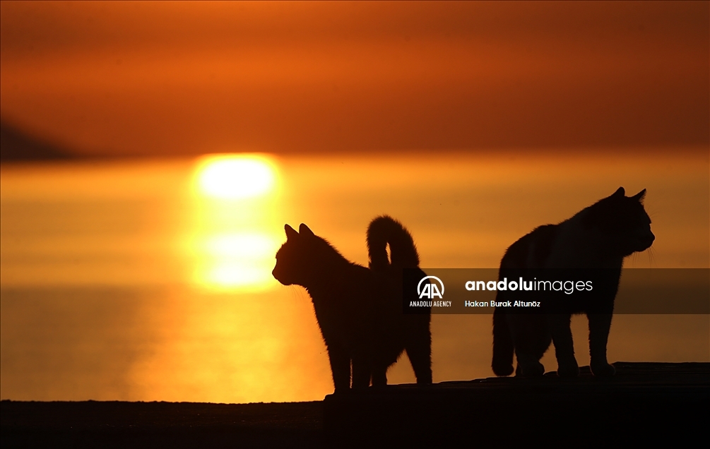 Sunset in Turkey's Trabzon