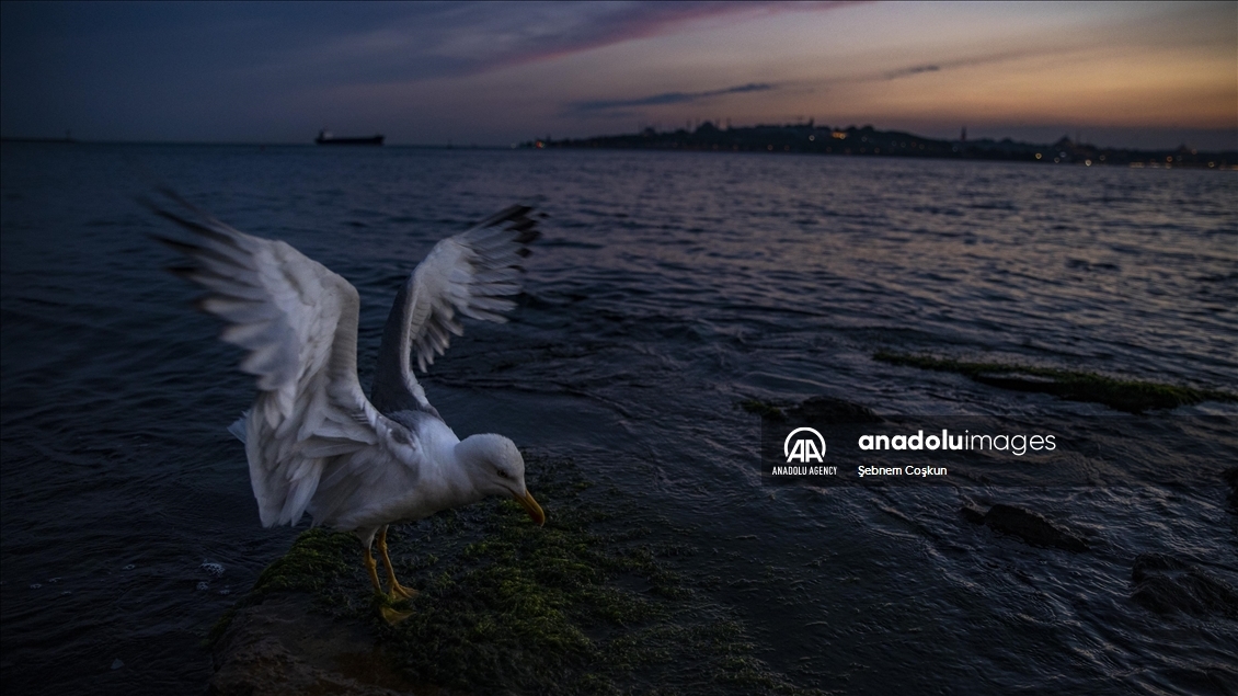 Sunset in Istanbul